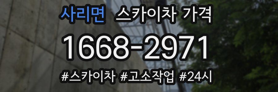 사리면 스카이차 가격