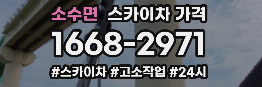 소수면 스카이차 가격