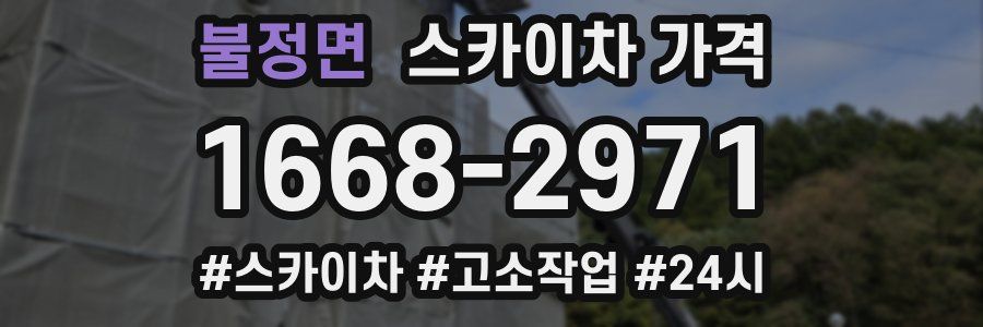 불정면 스카이차 가격