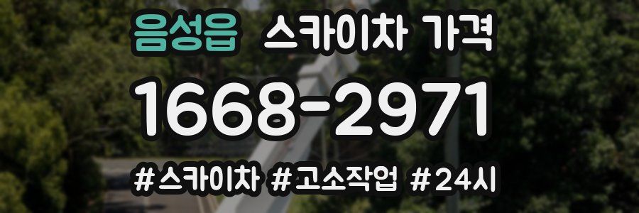 음성읍 스카이차 가격