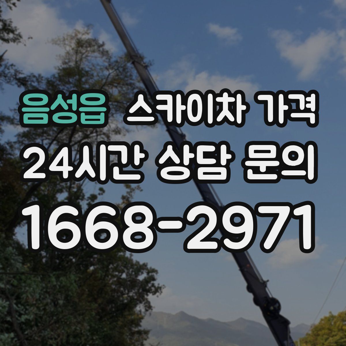 음성읍 스카이차 가격