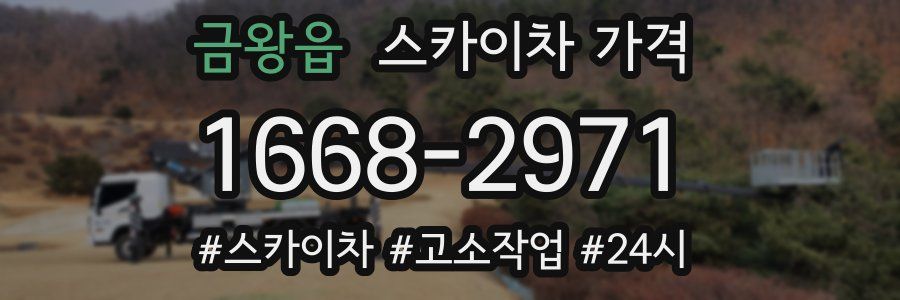 금왕읍 스카이차 가격