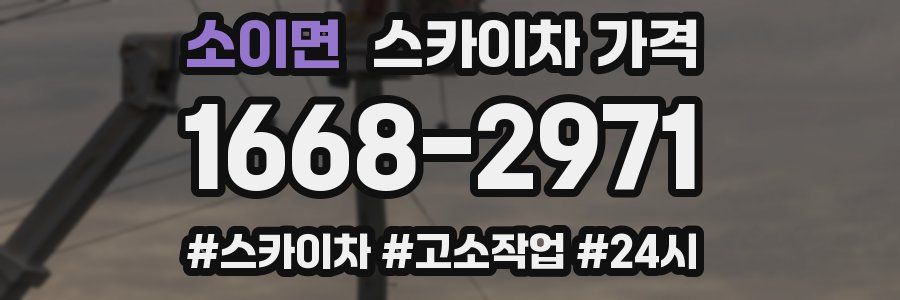 소이면 스카이차 가격