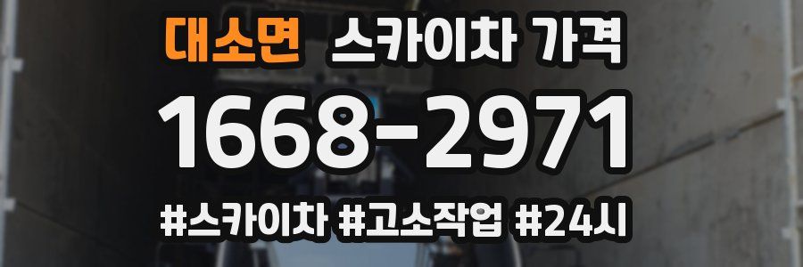 대소면 스카이차 가격