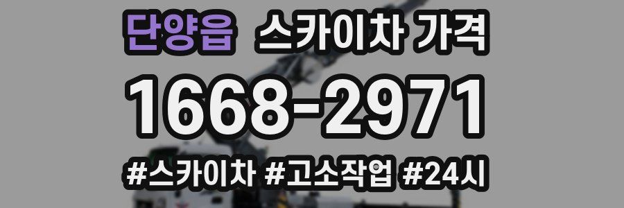 단양읍 스카이차 가격