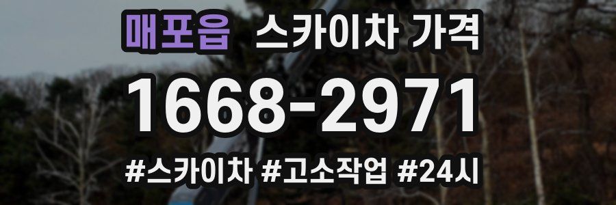 매포읍 스카이차 가격