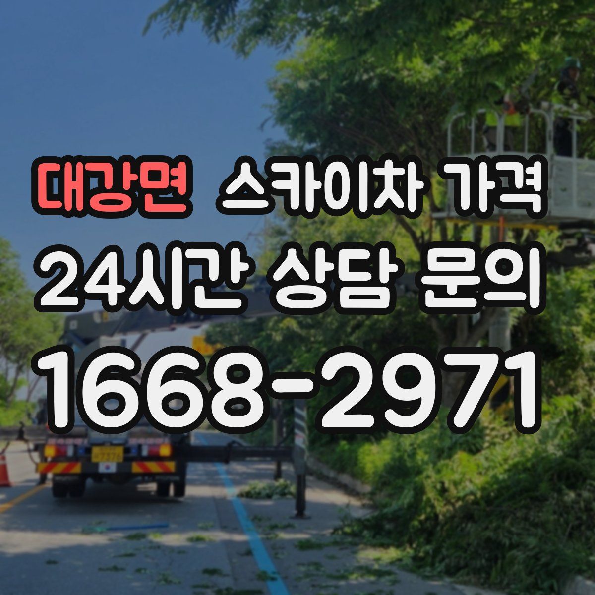 대강면 스카이차 가격