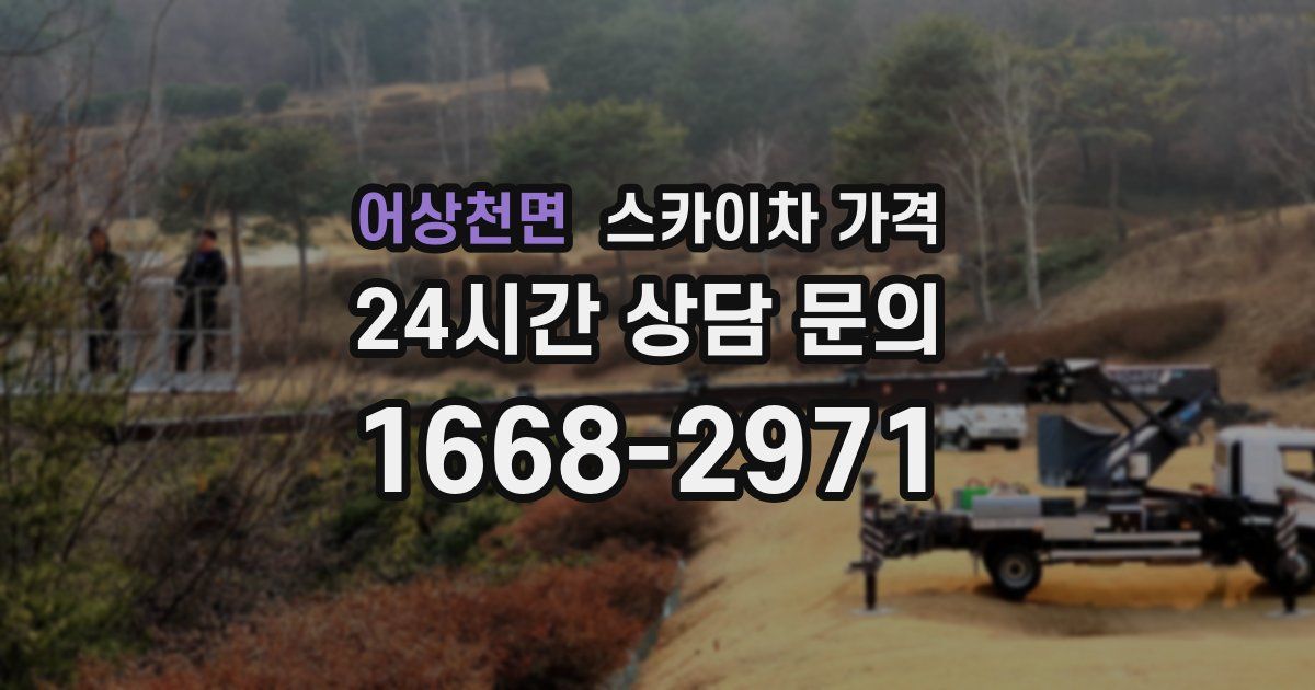 어상천면 스카이차 가격