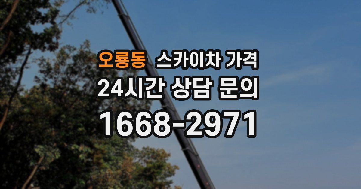 오룡동 스카이차 가격