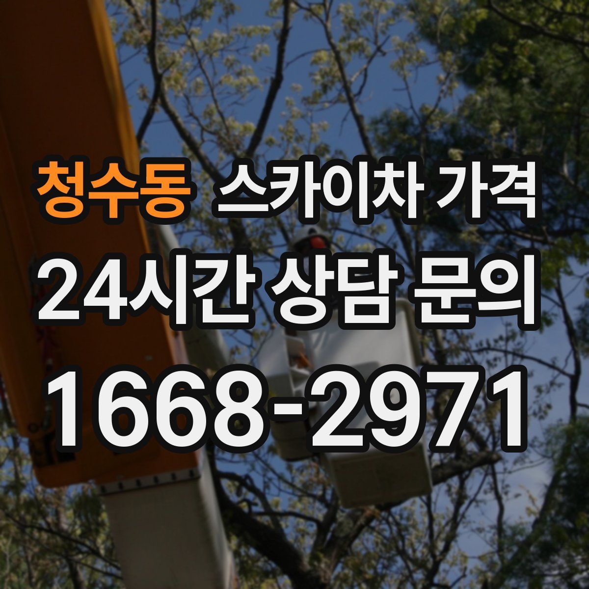 청수동 스카이차 가격