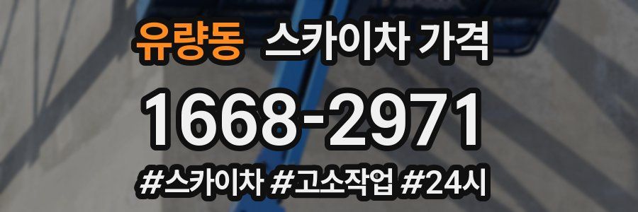 유량동 스카이차 가격