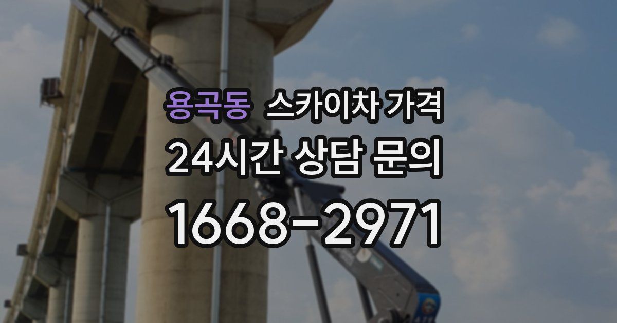 용곡동 스카이차 가격