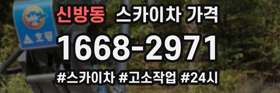 신방동 스카이차 가격