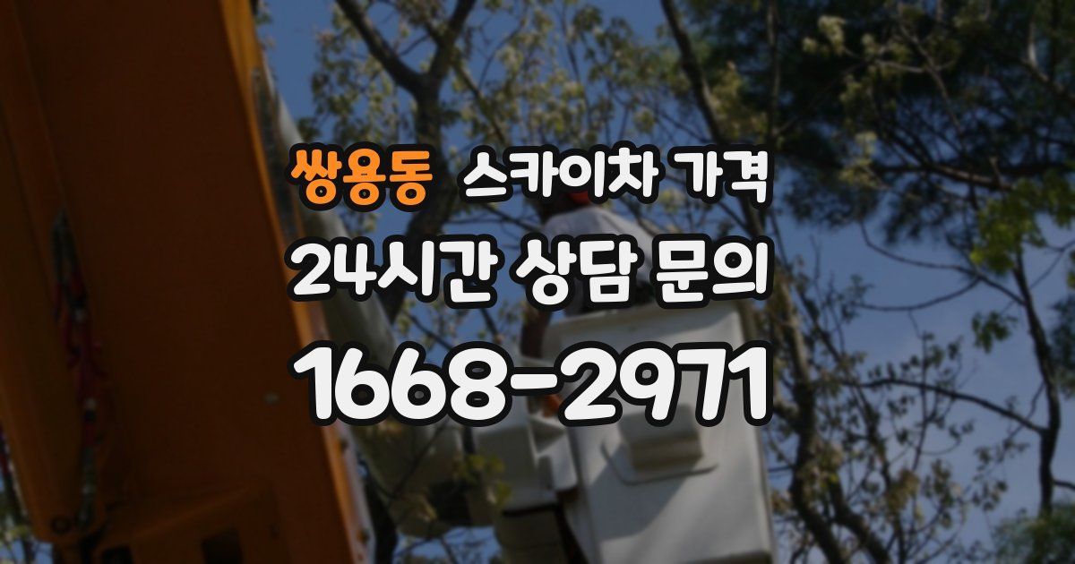 쌍용동 스카이차 가격