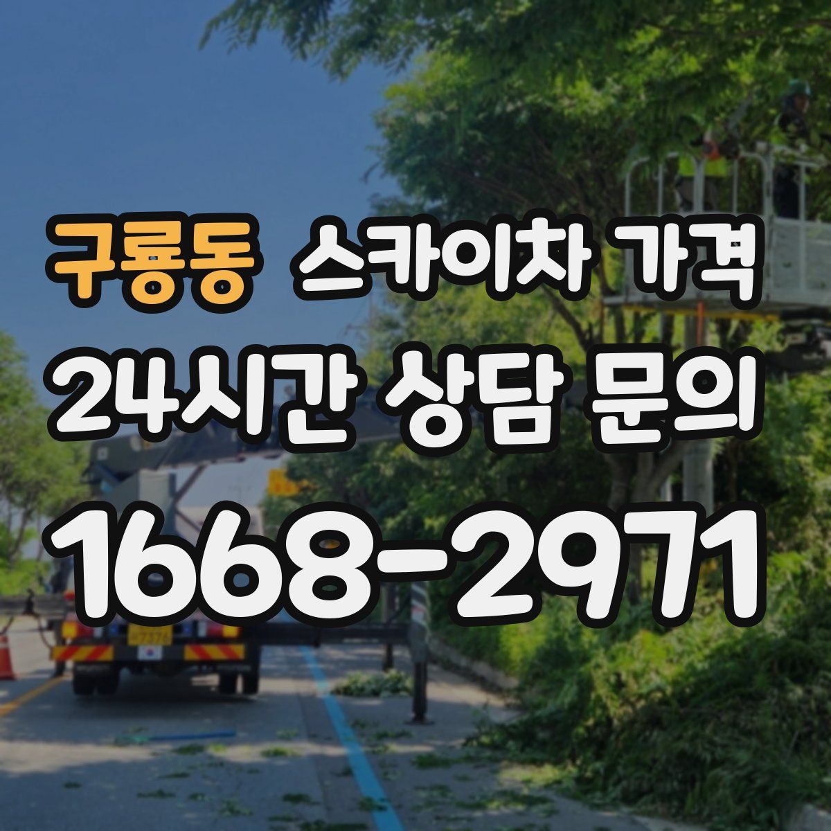 구룡동 스카이차 가격