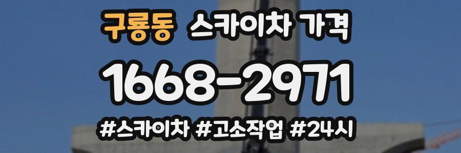 구룡동 스카이차 가격