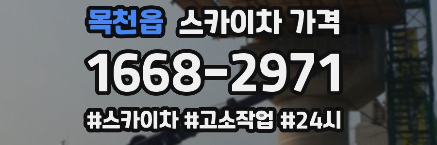 목천읍 스카이차 가격