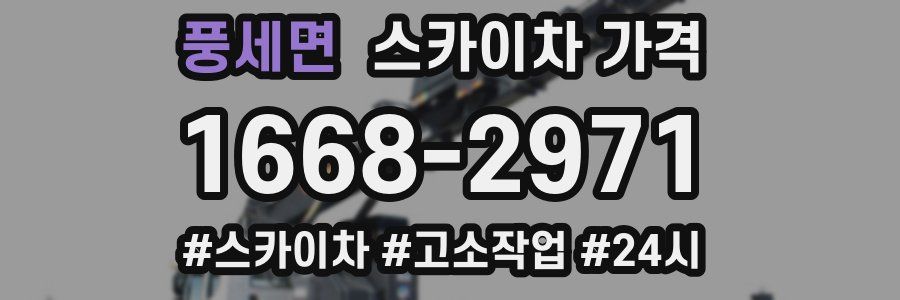 풍세면 스카이차 가격