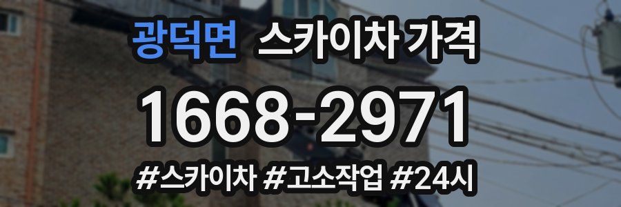 광덕면 스카이차 가격