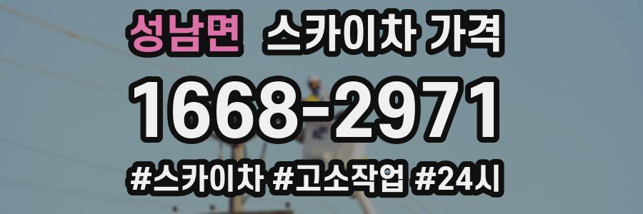 성남면 스카이차 가격