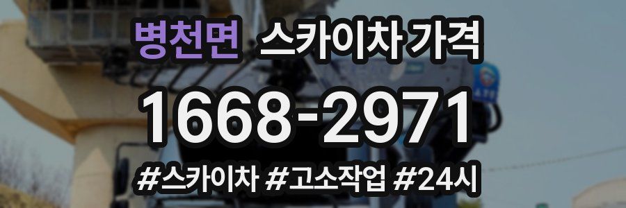 병천면 스카이차 가격