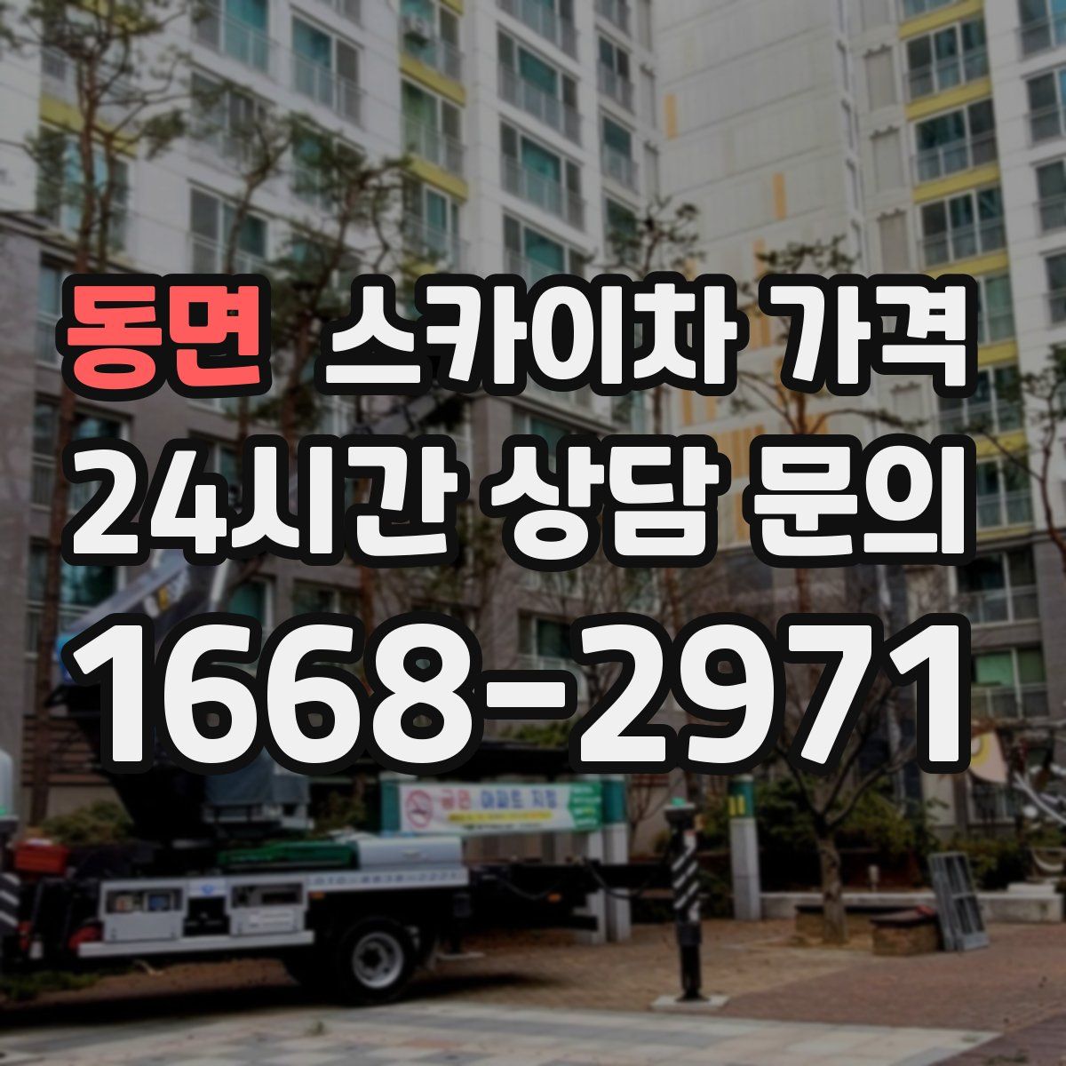 동면 스카이차 가격