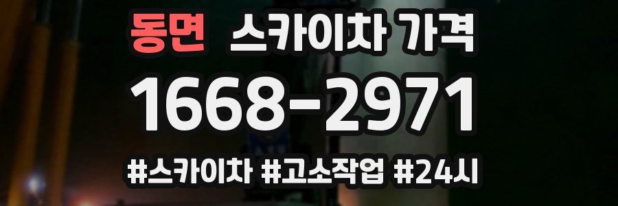 동면 스카이차 가격