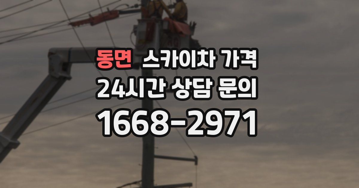 동면 스카이차 가격