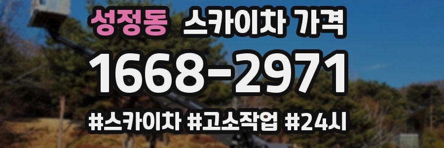 성정동 스카이차 가격
