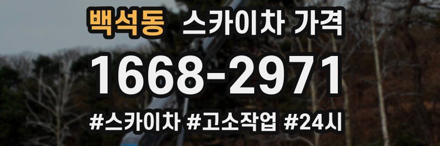 백석동 스카이차 가격