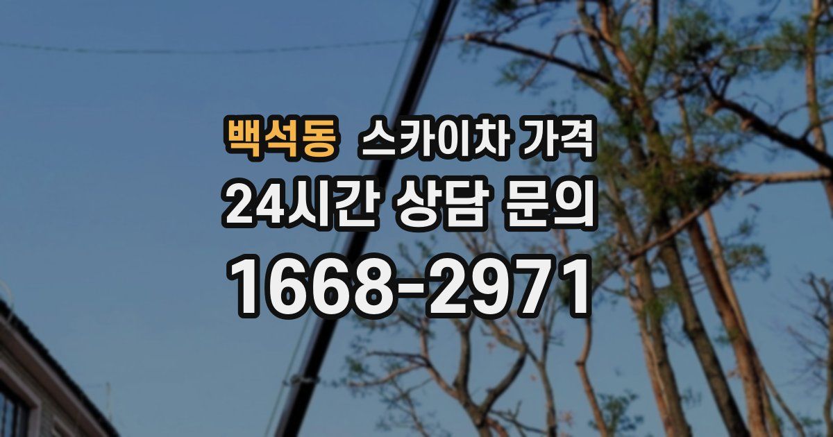 백석동 스카이차 가격