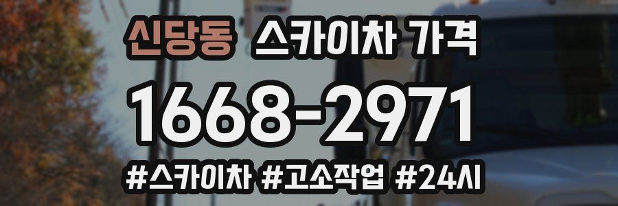 신당동 스카이차 가격