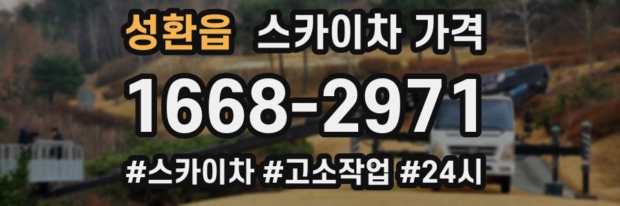 성환읍 스카이차 가격
