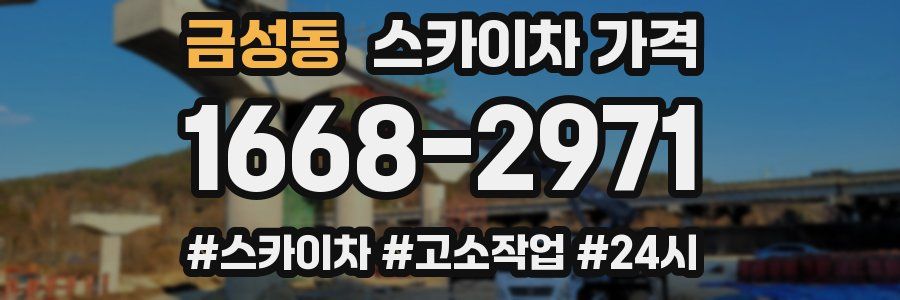 금성동 스카이차 가격