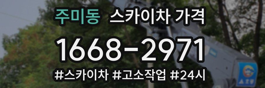 주미동 스카이차 가격