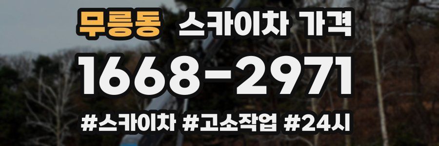 무릉동 스카이차 가격