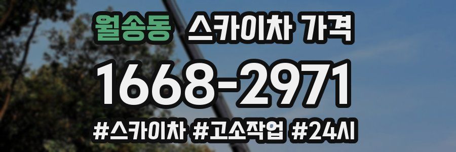 월송동 스카이차 가격