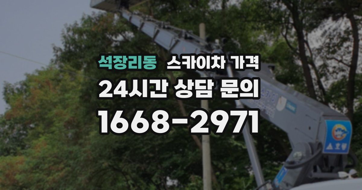 석장리동 스카이차 가격