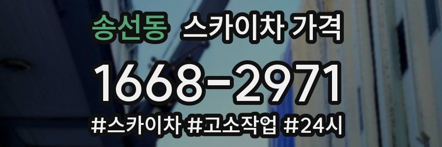 송선동 스카이차 가격