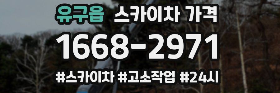 유구읍 스카이차 가격