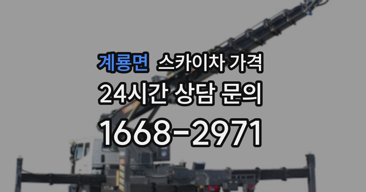 계룡면 스카이차 가격