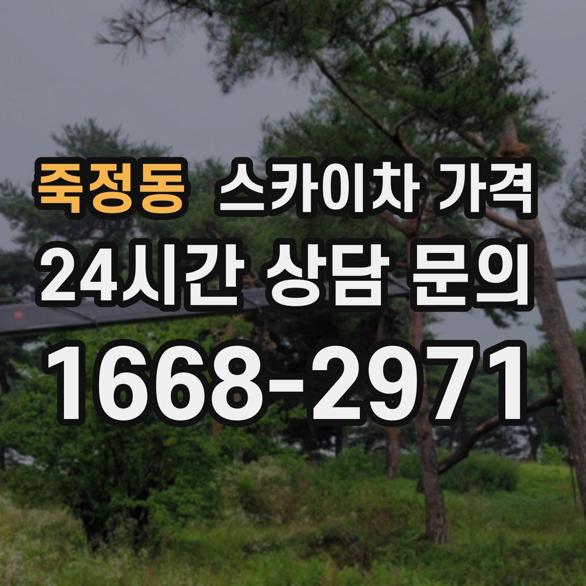 죽정동 스카이차 가격