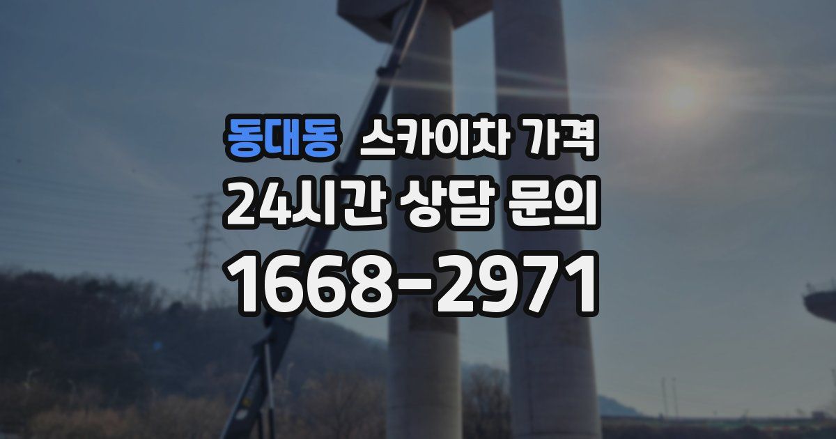 동대동 스카이차 가격
