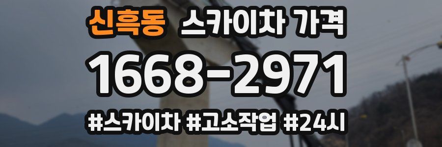 신흑동 스카이차 가격