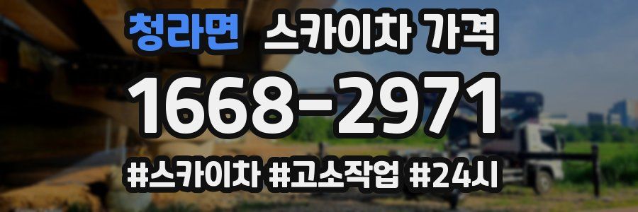 청라면 스카이차 가격