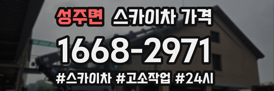 성주면 스카이차 가격