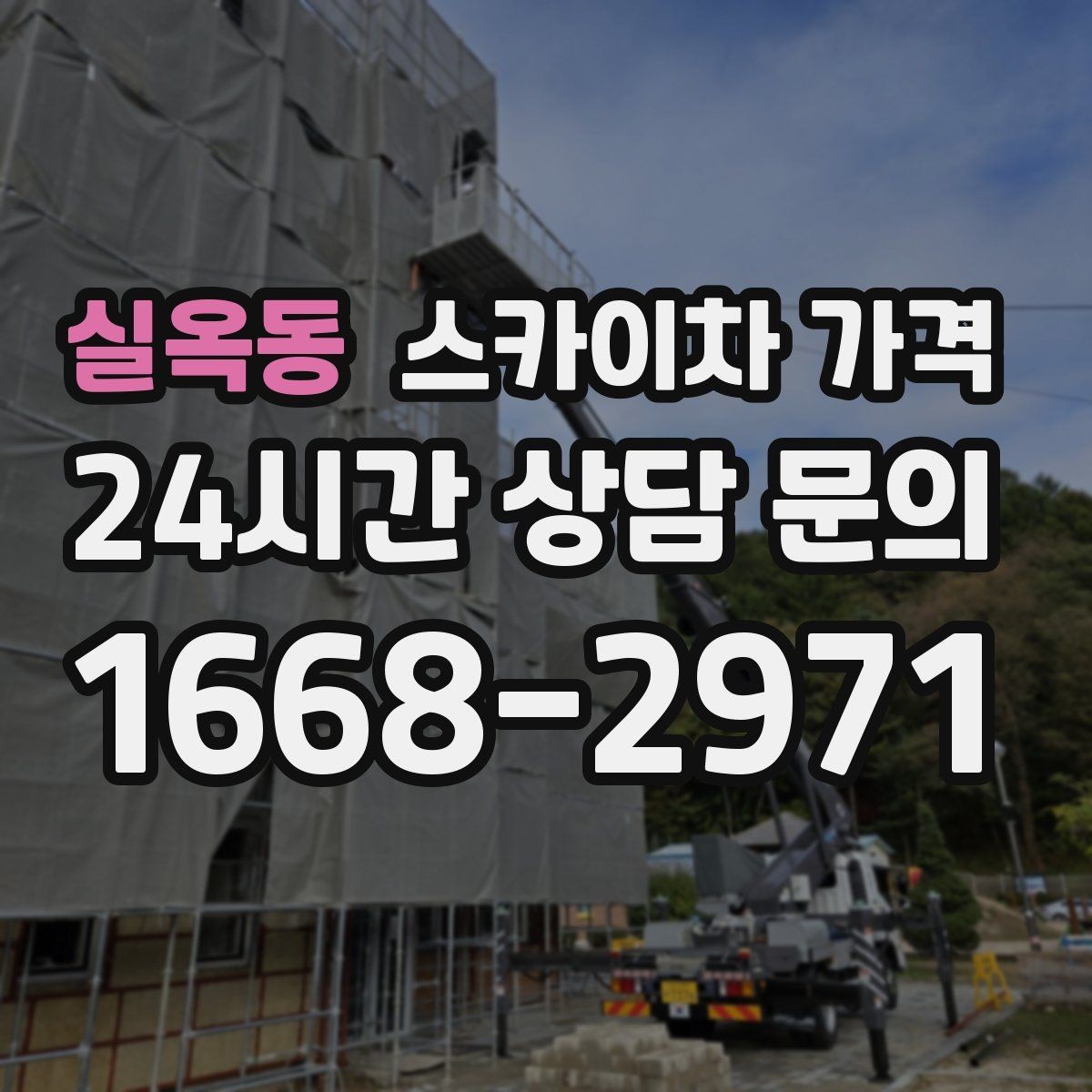 실옥동 스카이차 가격 나무 전지 작업은 가지 위치가 변수가 됩니다