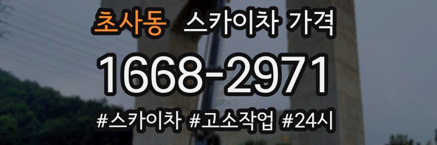 초사동 스카이차 가격