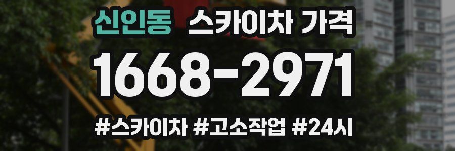 신인동 스카이차 가격