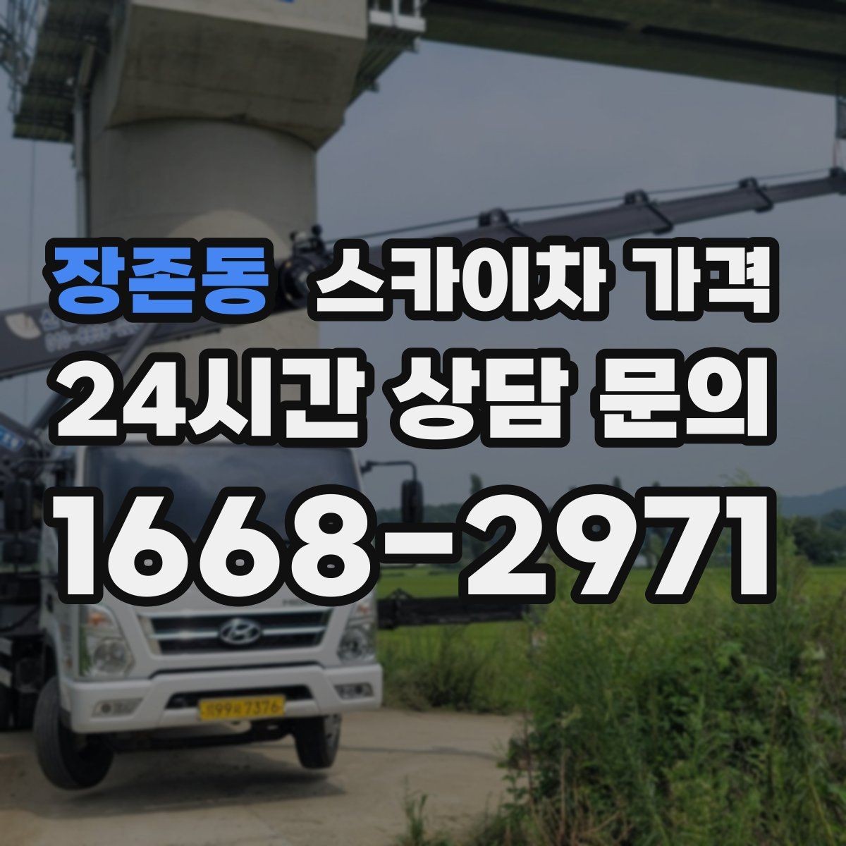 장존동 스카이차 가격 나무 가지치기 작업은 어떤 기준으로 볼까